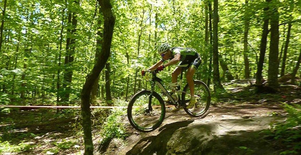 Wintergreen Mount Torry Furnace Esterno foto